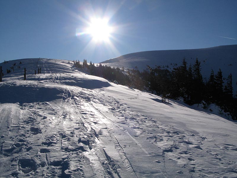 speikkogel